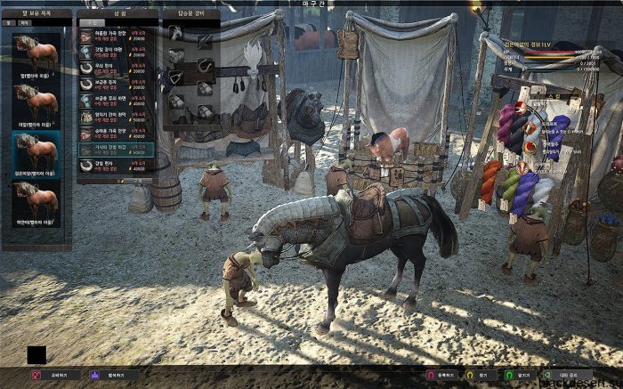 Black Desert